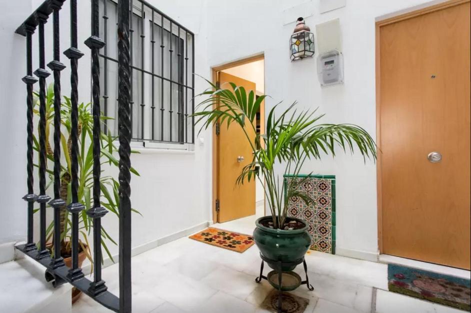 Estudio En El Corazon De Sevilla מראה חיצוני תמונה